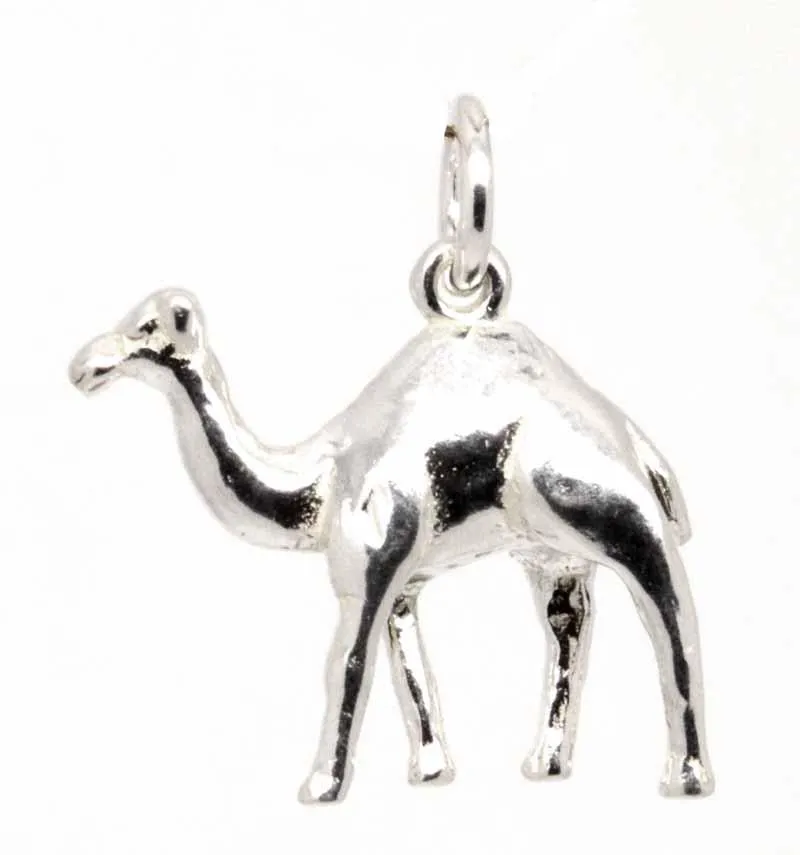 Gold Camel Charm