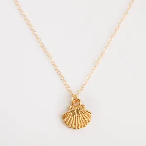 Seashell Necklace