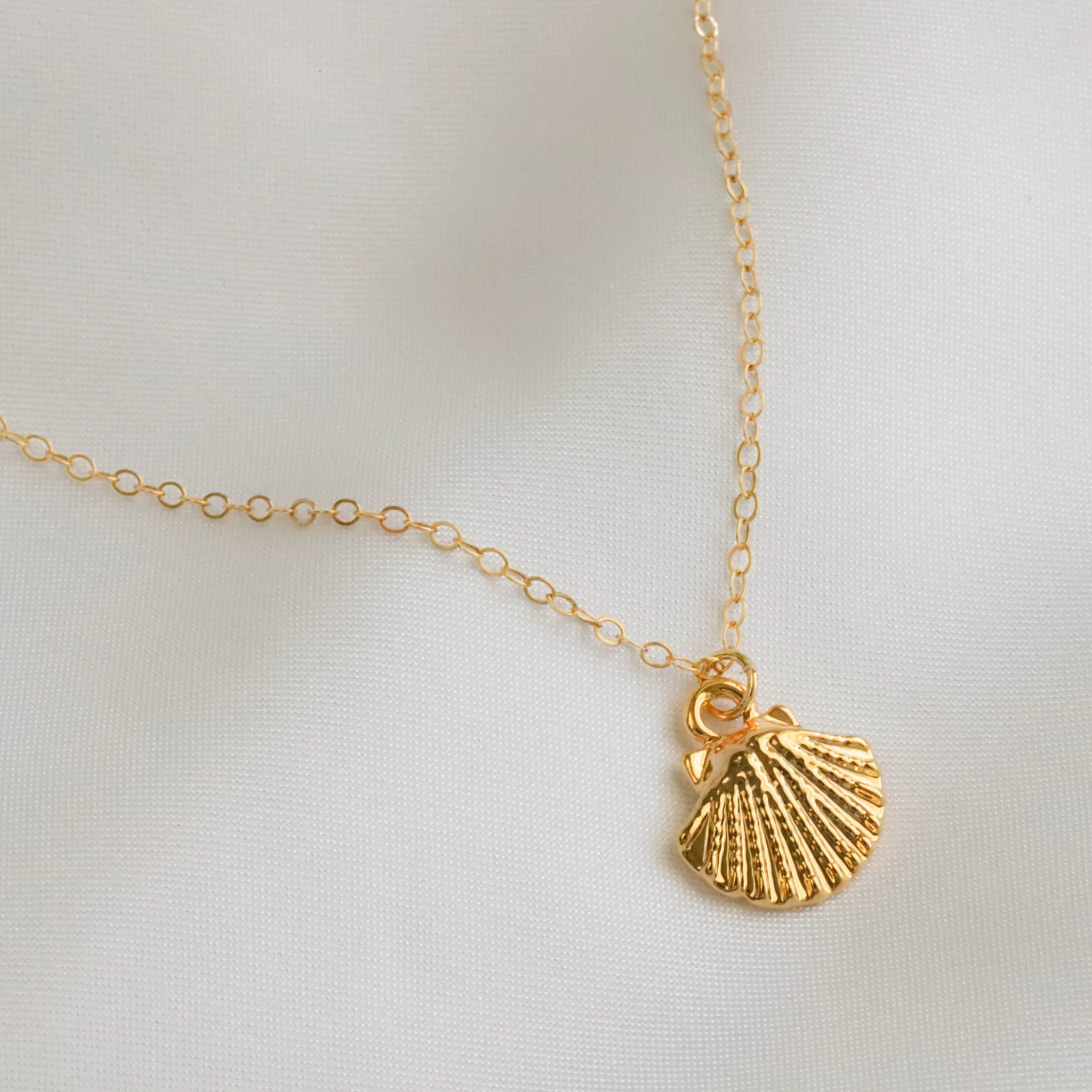 Seashell Necklace